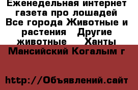 Еженедельная интернет - газета про лошадей - Все города Животные и растения » Другие животные   . Ханты-Мансийский,Когалым г.